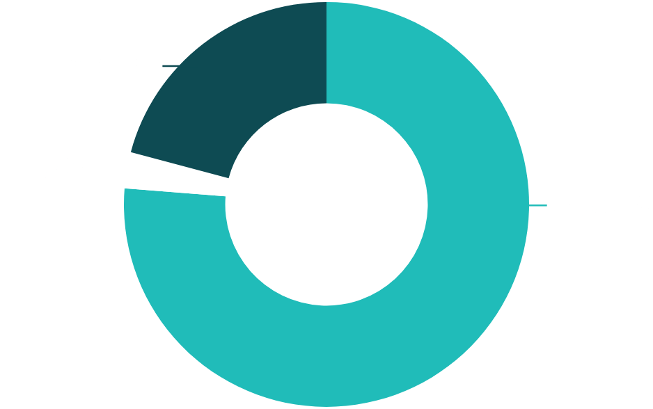 CMHD pie chart